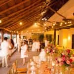 img-3682_5_273102-157463494797135